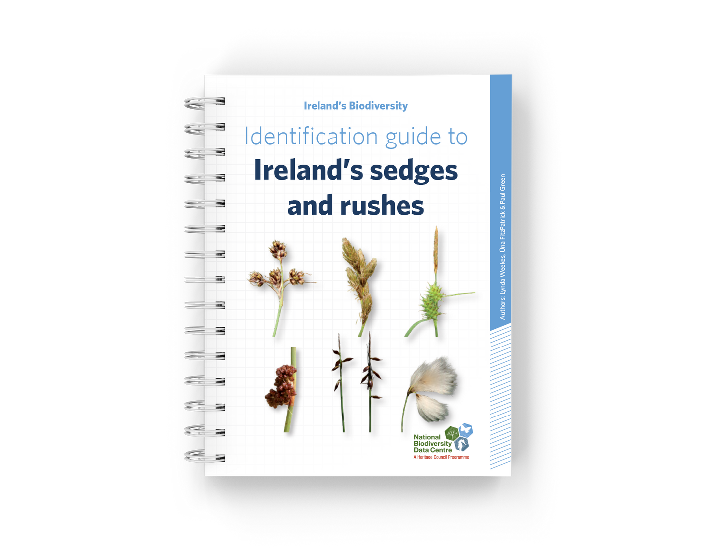 Ireland's sedges and rushes