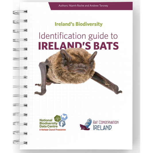 Bat Identification Guide