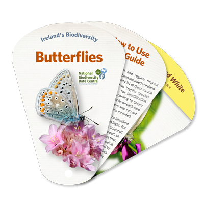 Butterfly identification guide swatch book