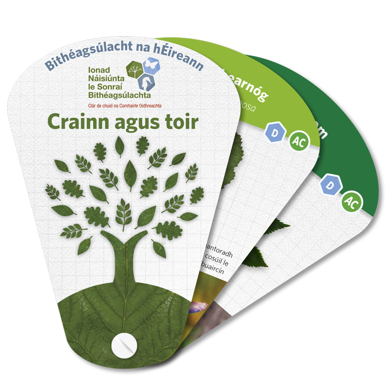 Crainn agus Toir Swatch