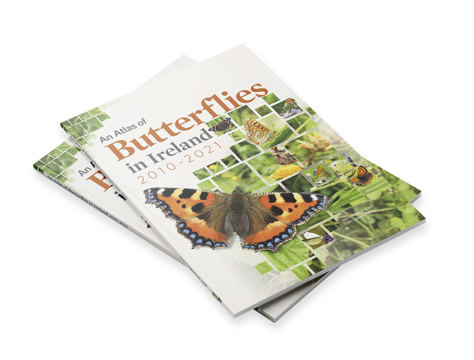 An Atlas of Butterflies in Ireland 2010 - 2021
