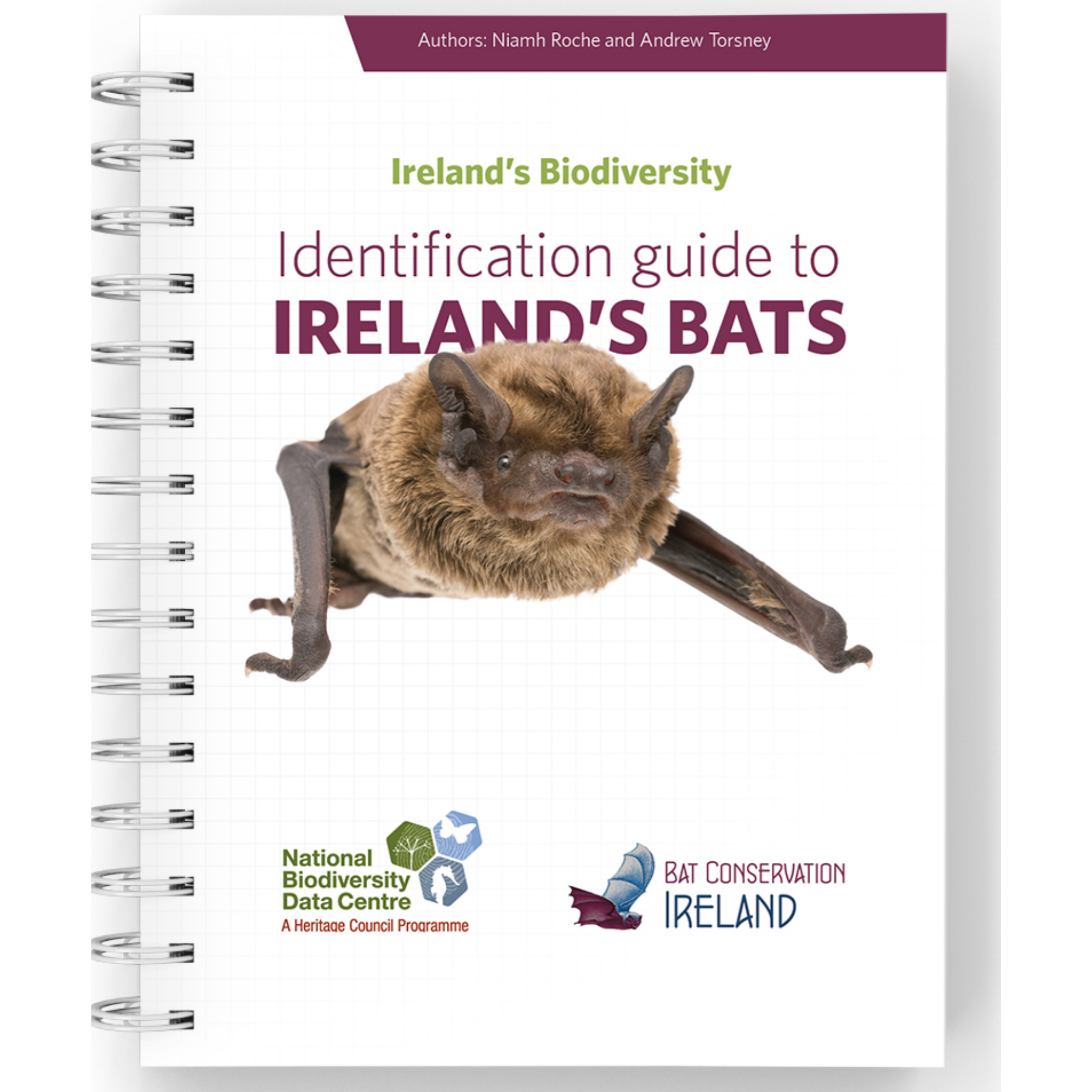 Bat Identification Guide National Biodiversity Data Centre